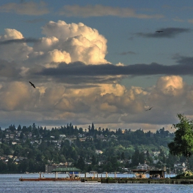 Washington Lake - Seattle