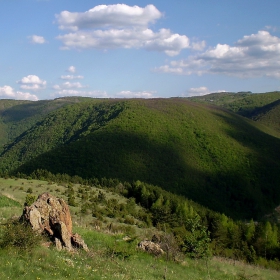 Палави сенки