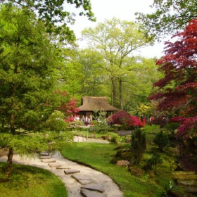 Japan garden in Hague