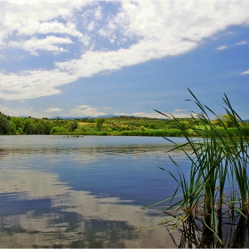 Лесичево