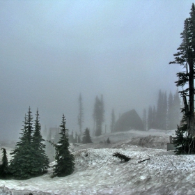 Rainier Mt. (юли 2009)