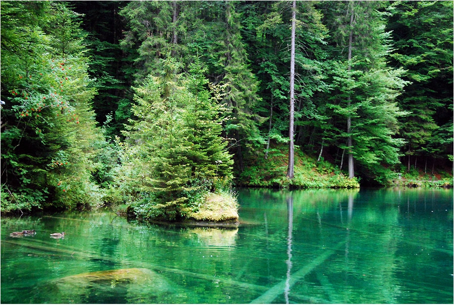 Blausee
