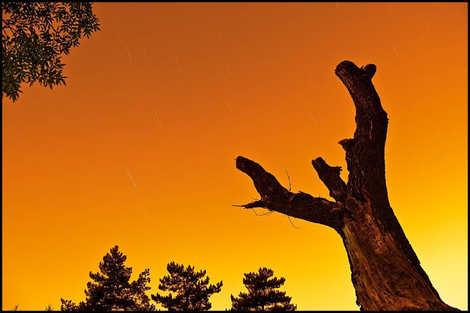 Raining stars