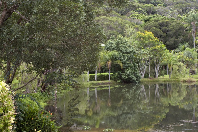 Cairns