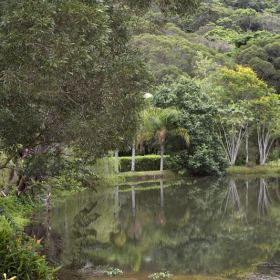 Cairns