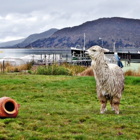 Titicaca