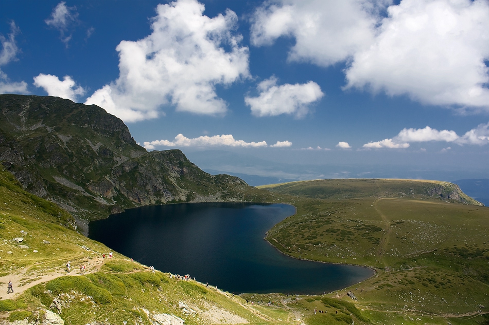 Бъбрека