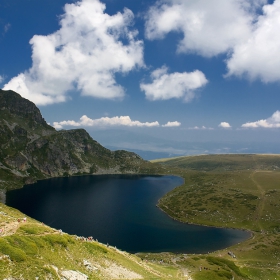 Бъбрека