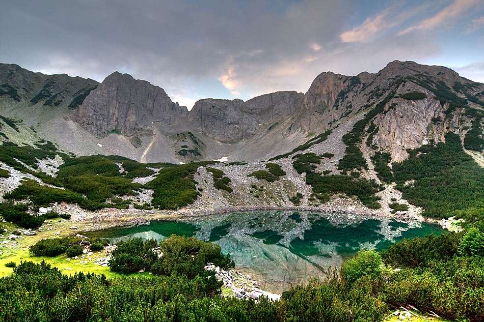 Синаница