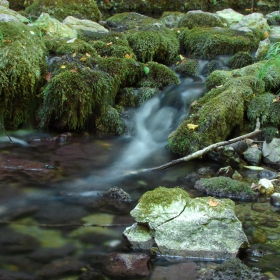 жива вода