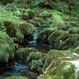 жива вода 2