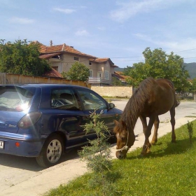 Дорково...