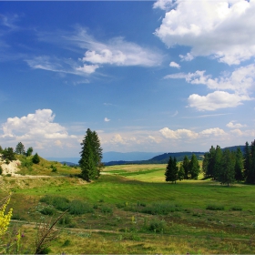 облачета, борчета, тревички само липсват птички   :-)