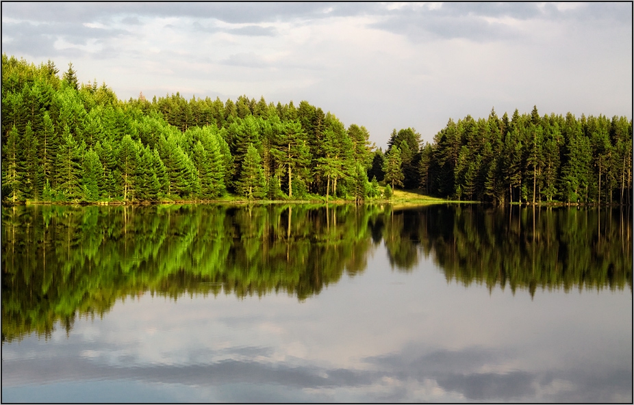 Dam Wide Meadow