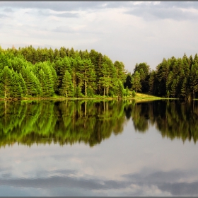 Dam Wide Meadow