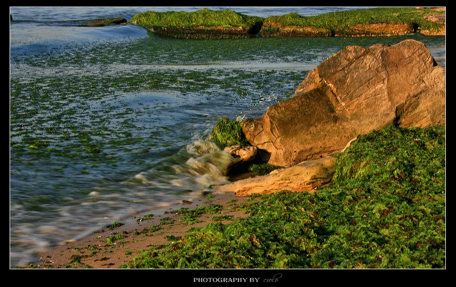 ~ морска утрин ~