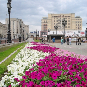 Москва....,мрачна, но красива!:)
