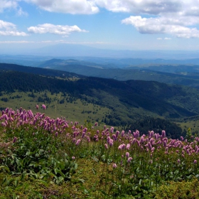 Балкани