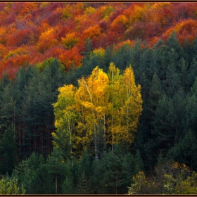 Есенни мотиви