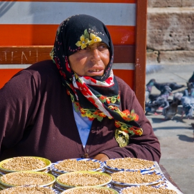 Buğday
