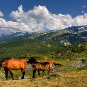 Планинските таксита