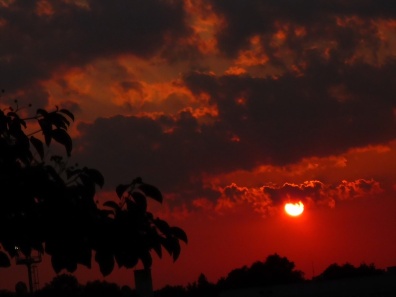 Backston's sunset's-2