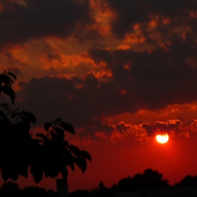 Backston's sunset's-2