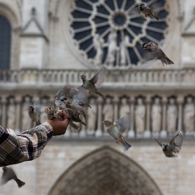 Пред Notre Dame de Paris