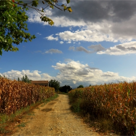 Ех, поле  -  Eh, campo