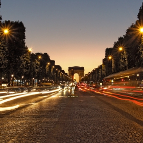 AVENUE des CHAMPS - ELYSEES