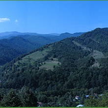 По път към Дебели Рид