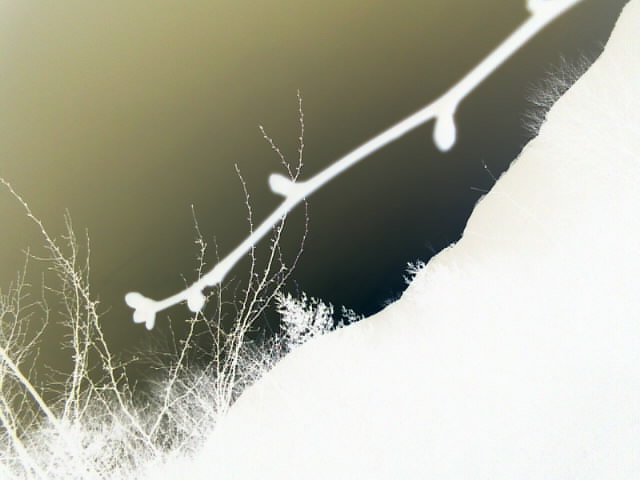 ////NQMA