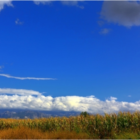 Поле  -  Campo