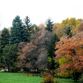 парка