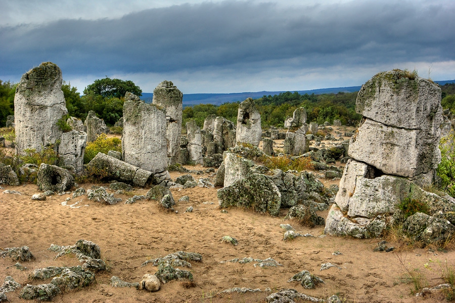 Каменната гора