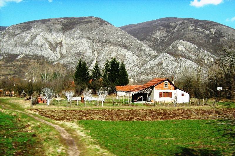 countryside