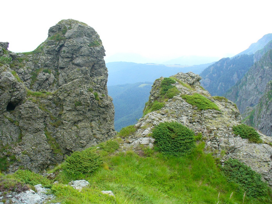 Северен Джандем