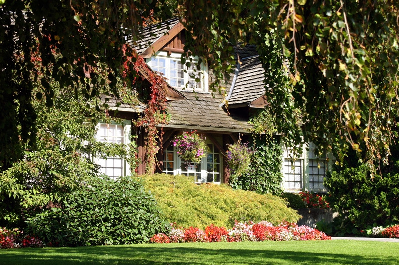 My Dream House