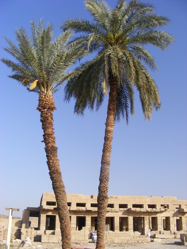 Beautiful beautiful Luxor