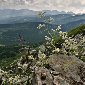 Великата Рилска пустиня