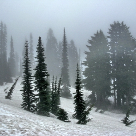 Силуети (Rainier Mt.- юни 2009)