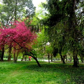 парка