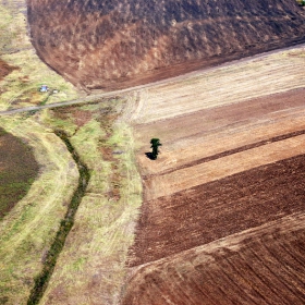 гледка