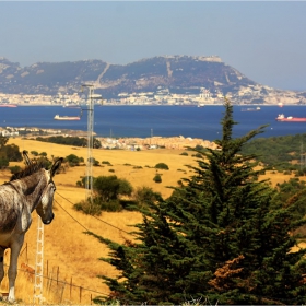 Гибралтар  -  Gibraltar