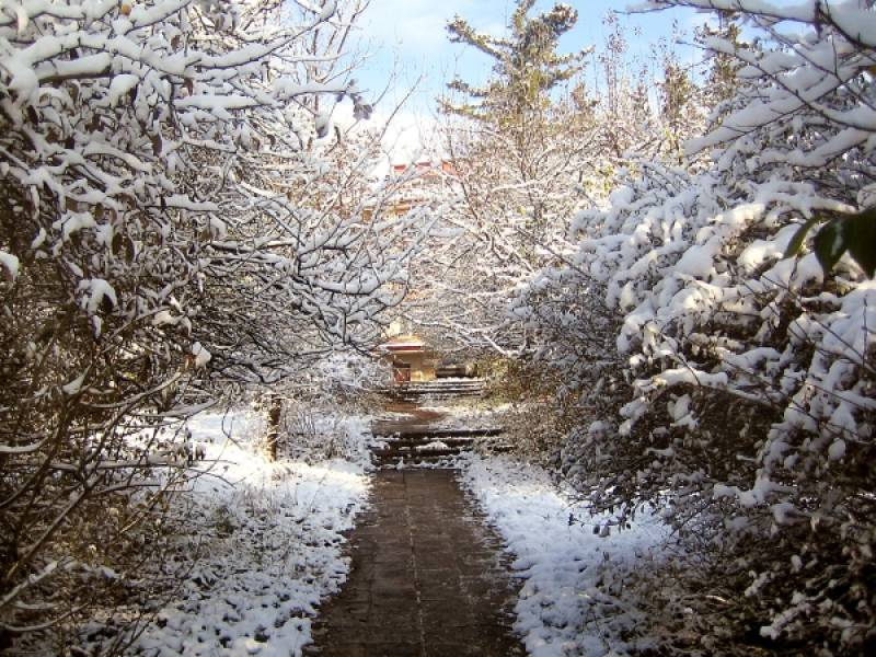 snow