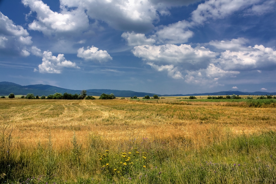 В края на лятото