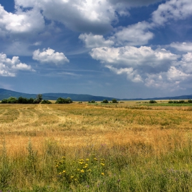 В края на лятото