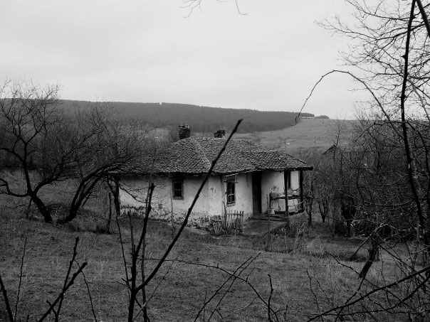 Vila