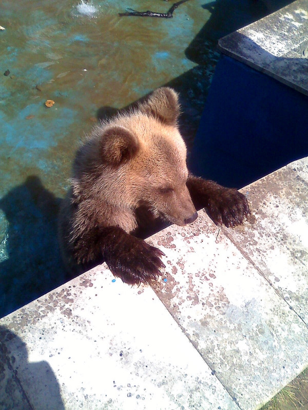Случайно да ви се намира мееед!:)