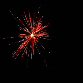 Честита Нова Година 2010г.